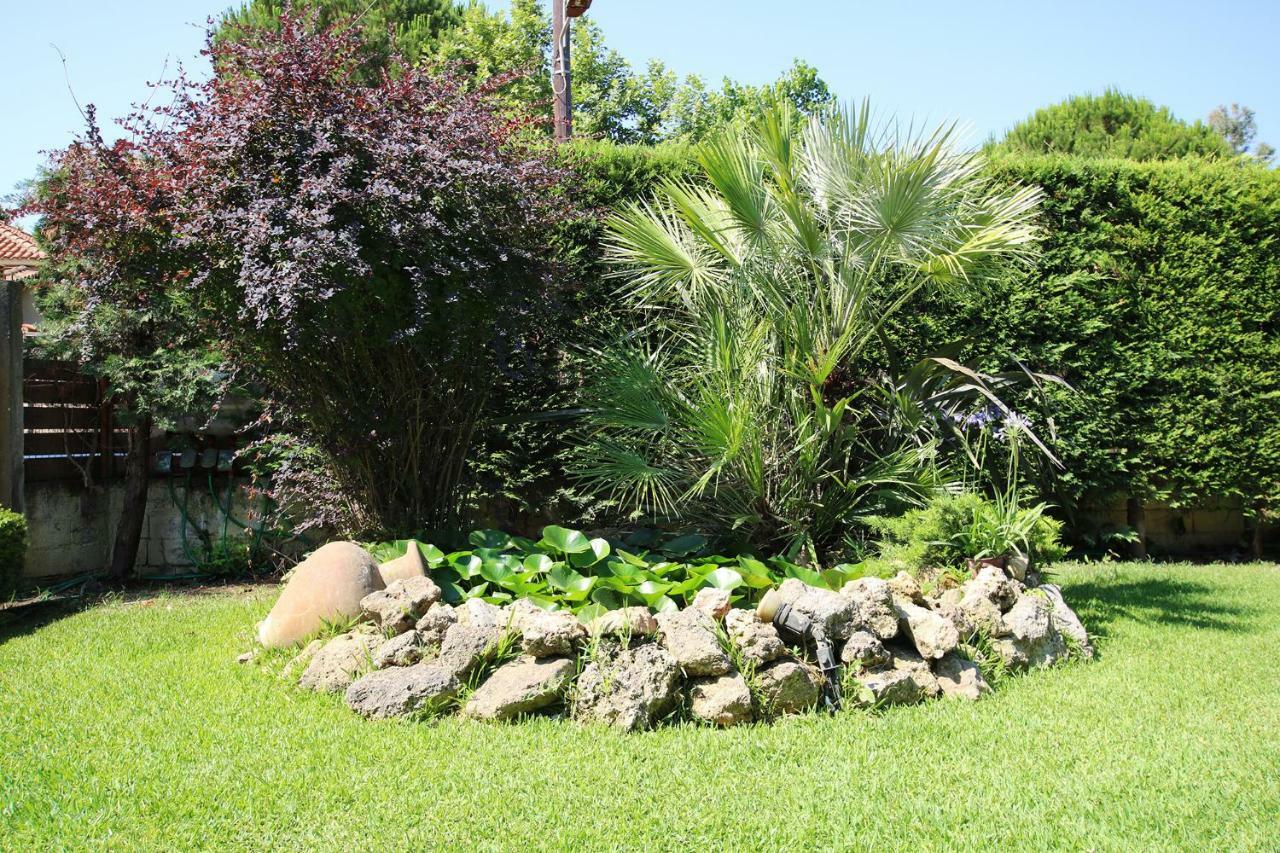 Peter'S Country House Katakolo Exterior photo